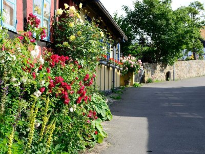 Holiday park 6 person holiday home in Allinge - Outdoor photo 19