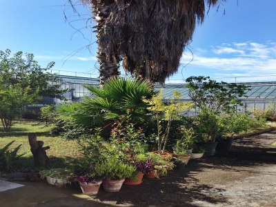 Holiday house Belvilla by OYO Menotti - Outdoor photo 13