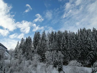 Apartment High Class Apartment bei Saalbach-Hinterglemm mit Sauna - Environment photo 34