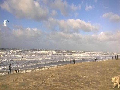 Holiday park Beach House in Wijk aan Zee with Sea Views - Environment photo 17