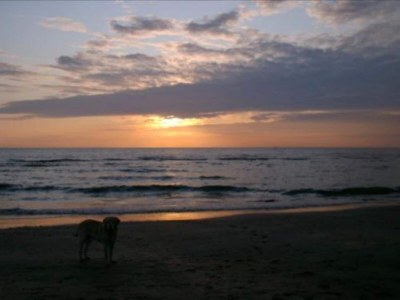 Holiday park Beach House in Wijk aan Zee with Sea Views - Environment photo 19