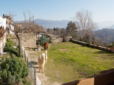 Holiday house Sun-kissed holiday home with swimming pool - Environment photo 16