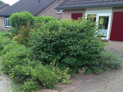 Bungalow Nice bungalow in Beek with hot tub - Outdoor photo 9