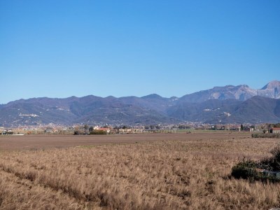 Holiday house Belvilla by OYO APT 7 VILLA DEI PINI - Environment photo 27