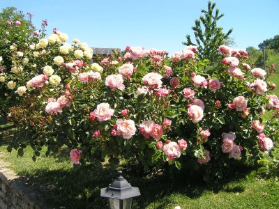 Holiday apartment Cascina Curairone - Environment photo 21