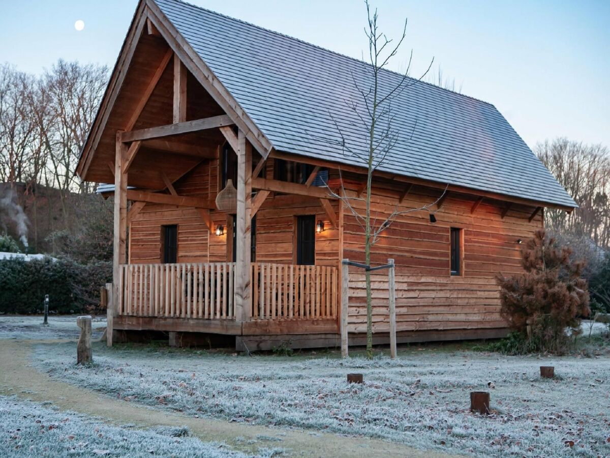 Holiday park Holiday Home in Brabant with Private Spa - Outdoor photo 5