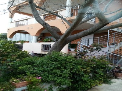 Apartment Apartments Vanja Škara Biograd - Studio Apartment with Terrace - Outdoor photo 10