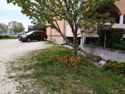 Apartment Apartments Vanja Škara Biograd - Studio Apartment with Terrace - Outdoor photo 16