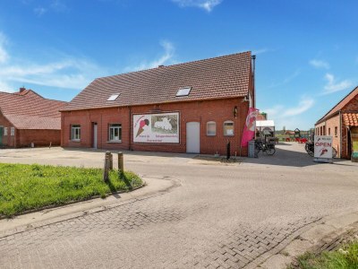 Holiday house Cottage on sheep farm with gelateria - Holiday house