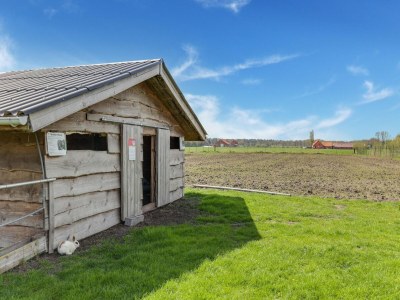 Holiday house Cottage on sheep farm with gelateria - Outdoor photo 8