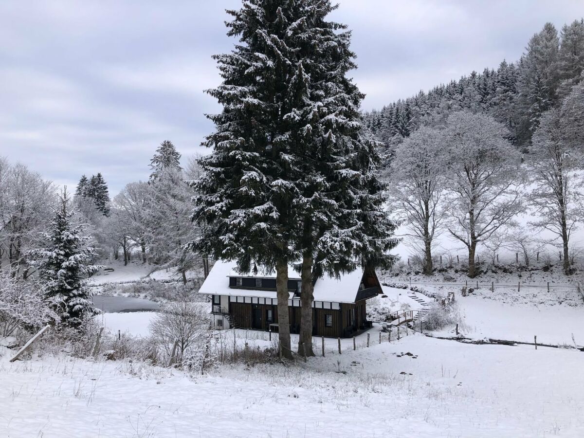 Holiday house Rückzugsort am Teich in Winterberg - Outdoor photo 4