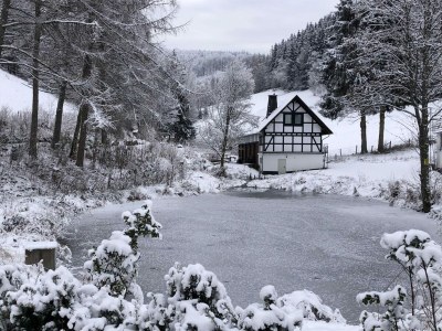 Holiday house Rückzugsort am Teich in Winterberg in High Sauerland - Holiday house