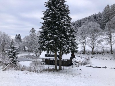 Holiday house Rückzugsort am Teich in Winterberg - Outdoor photo 4