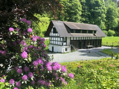 Holiday house Rückzugsort am Teich in Winterberg - Outdoor photo 6