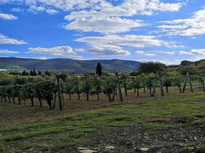 Villa Villa in Tuscany with Private Pool and Hill View - Environment photo 25