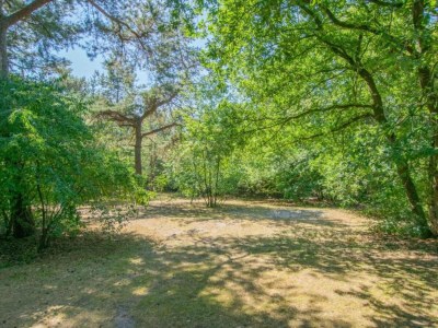 Holiday park Wellnesshaus in Brabant mit privatem Spa - Environment photo 21