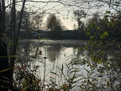Holiday house Forest House in Appelscha near National Parks - Environment photo 33