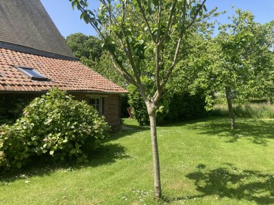 Holiday house Vieux Logis - Environment photo 36
