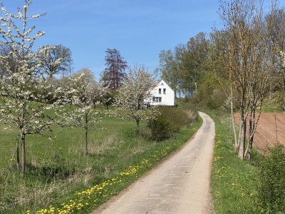 Holiday house Forsthaus Gut Malberg - Outdoor photo 7