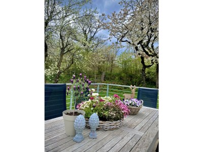 Holiday house Forsthaus Gut Malberg - Outdoor photo 8