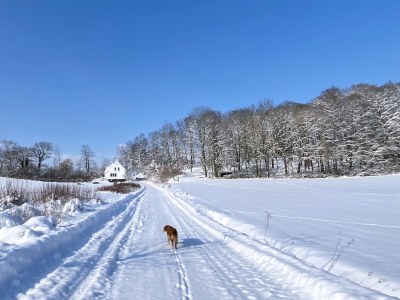 Holiday house Forsthaus Gut Malberg - Outdoor photo 12