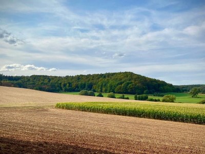 Holiday house Forsthaus Gut Malberg - Outdoor photo 13