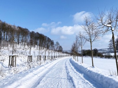 Holiday house Forsthaus Gut Malberg - Outdoor photo 22