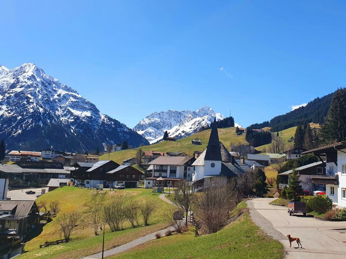 Apartment Ferienwohnung Bergjuwel mit 1 Schlafraum