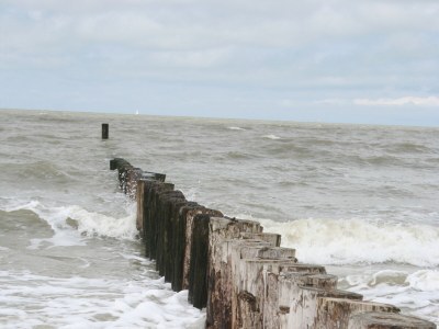 Bungalow Zee, Bos en Duin - Environment photo 15