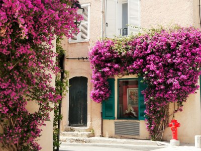 Holiday apartment Villa Oliandre - Environment photo 39