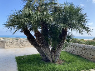 Villa Lorena - Outdoor photo 17
