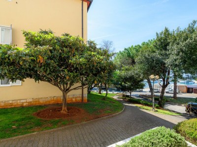 Apartment Apartment Maria - Environment photo 22
