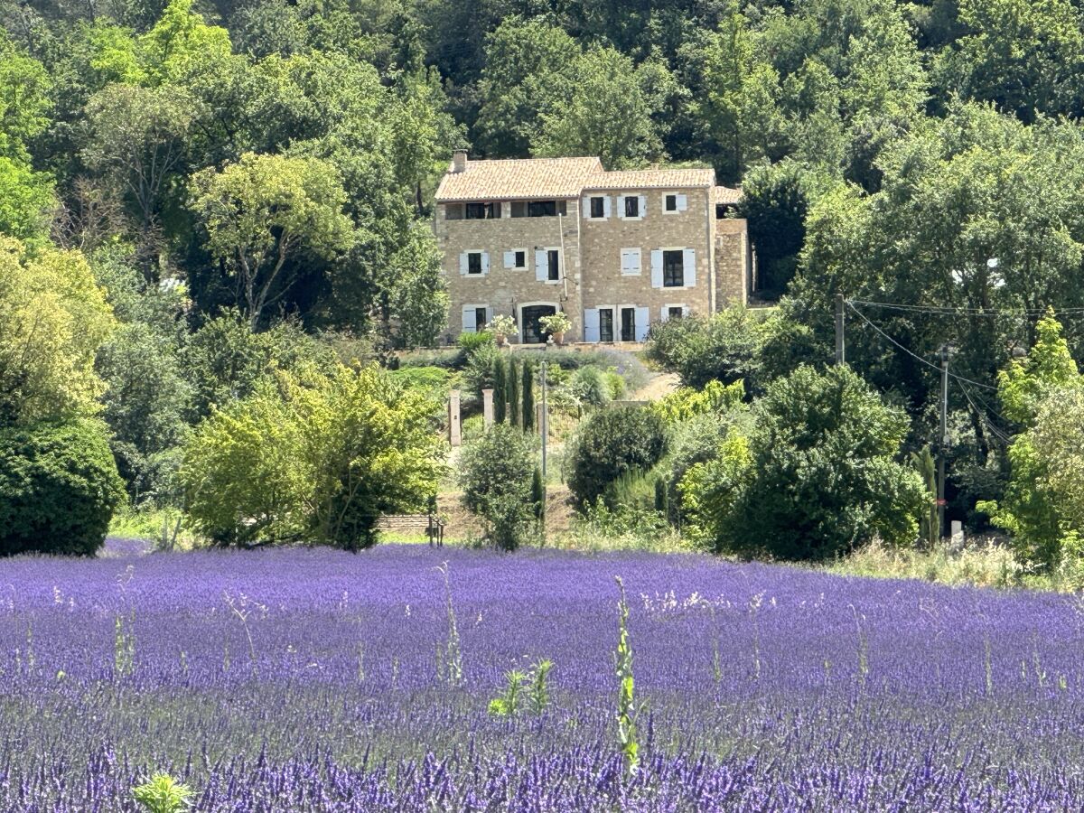 Villa Domaine de Valmenon - Outdoor photo 3