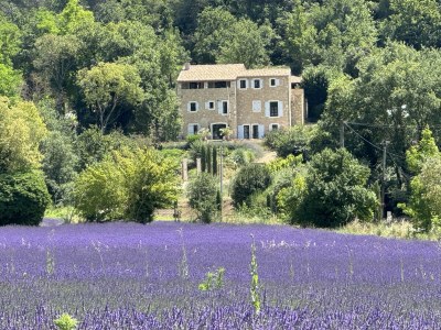 Villa Domaine de Valmenon - Outdoor photo 3