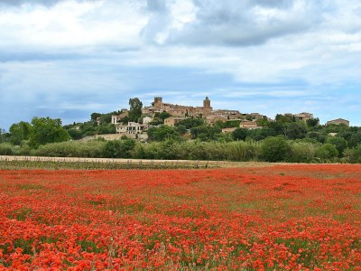 Apartment Apartment with garden and pool - 800m from Pals beach (225 - SG 2) - Outdoor photo 19