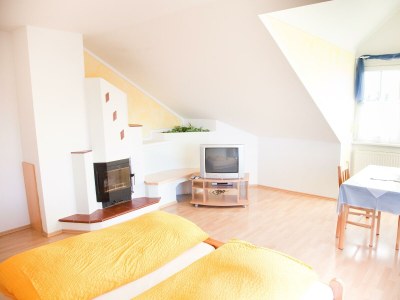 Apartment Apartment 2 in Bad Waltersdorf - Apartment