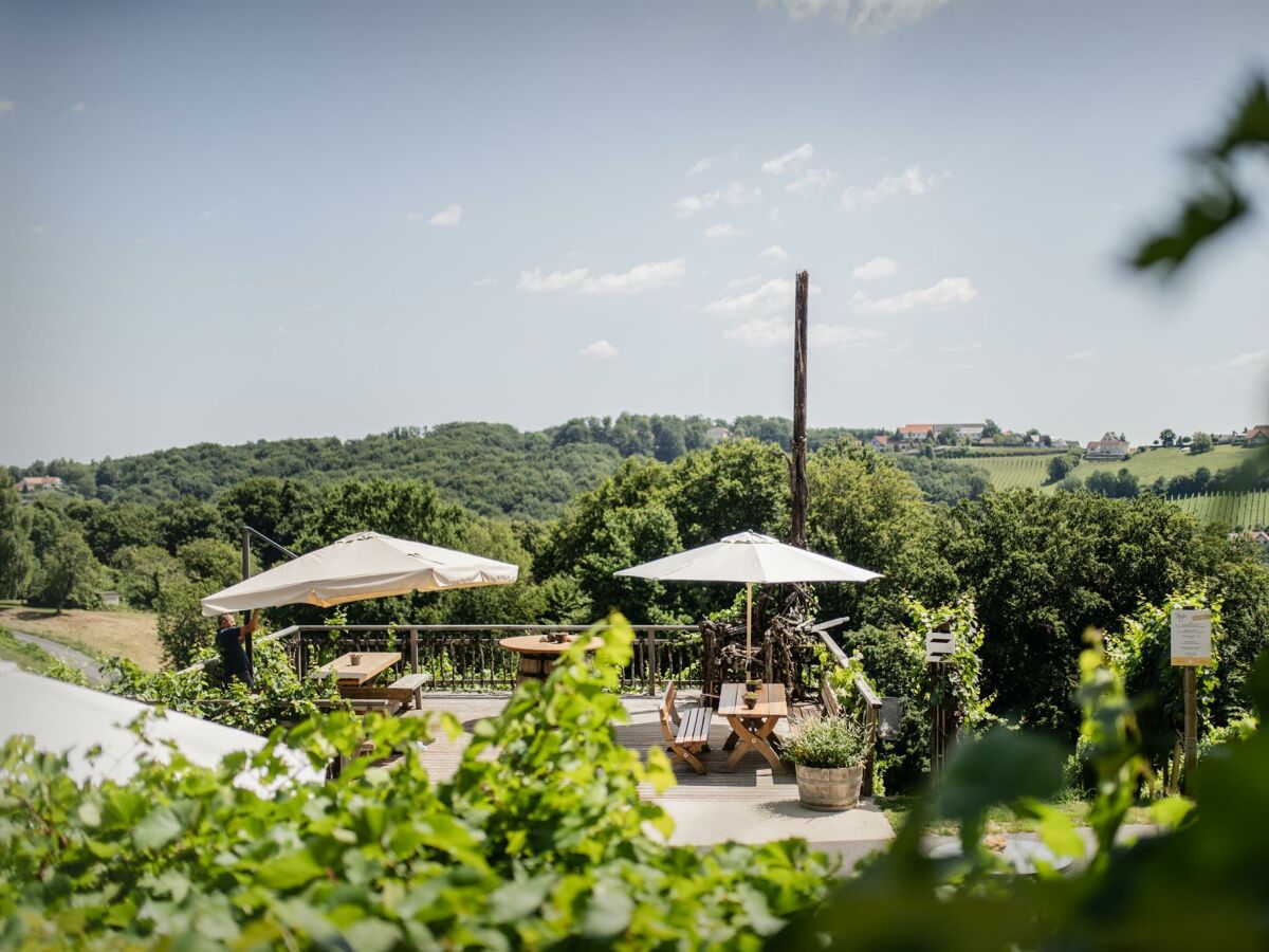 Holiday room Weingartenappartement mit Balkon | 2 Doppelzimmer