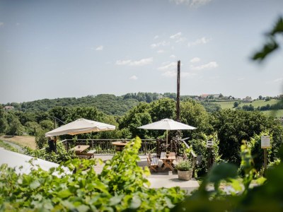 Holiday room Weingartenappartement mit Balkon | 2 Doppelzimmer in Sankt Anna am Aigen - Holiday room