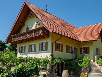 Holiday room Weingartenappartement mit Balkon | 2 Doppelzimmer - Outdoor photo 8