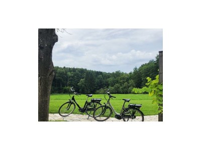 Apartment Appartement Weinrebe - Outdoor photo 5