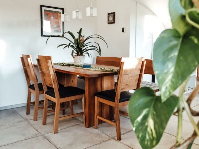 Apartment Ferienhaus in Feldbach - Apartment