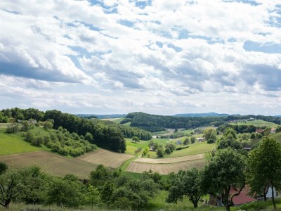 Holiday room WeinHAUS 03 - Outdoor photo 4