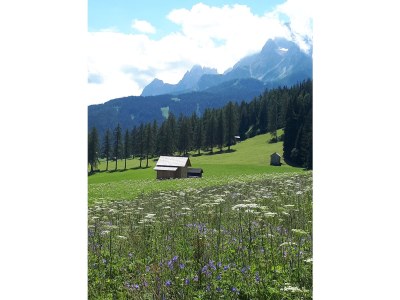 Holiday apartment Residence Summerer in the area - Environment photo 15