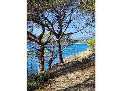 Holiday house Maison de vacances Gigaro - 22A - Environment photo 25