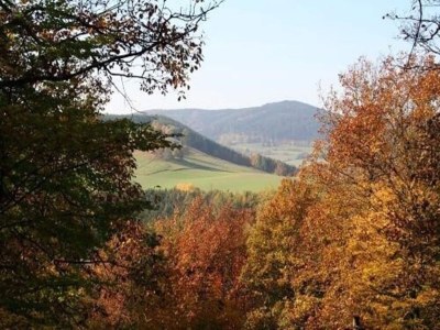 Holiday house Ferienhaus für 6 Personen in Diemelsee - Environment photo 19
