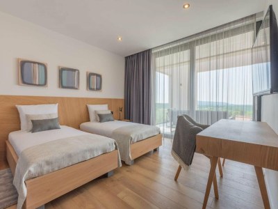 Holiday house Villa with Saun in Labin - Features photo 16