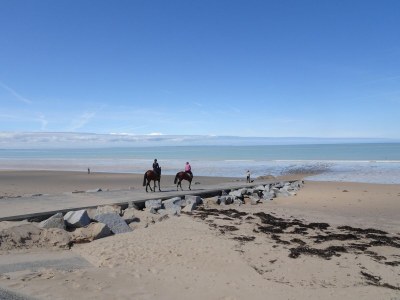 Holiday house Holiday Home near Donville-les-Bains Beach - Environment photo 20