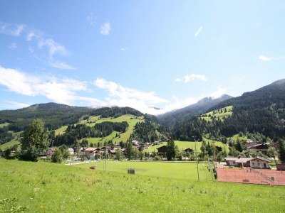 Apartment Apartment in Kleinarl near Ski Lift - Environment photo 20
