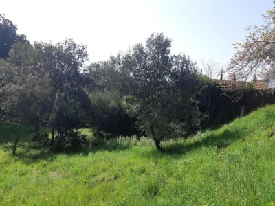 Holiday park Tent Lodge in Begur near Costa Brava Beach - Environment photo 21