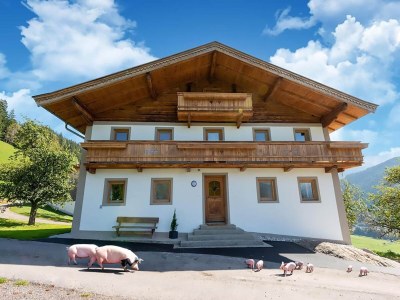 Holiday house Farmhouse in Wildkogel near Ski Slopes - Outdoor photo 9